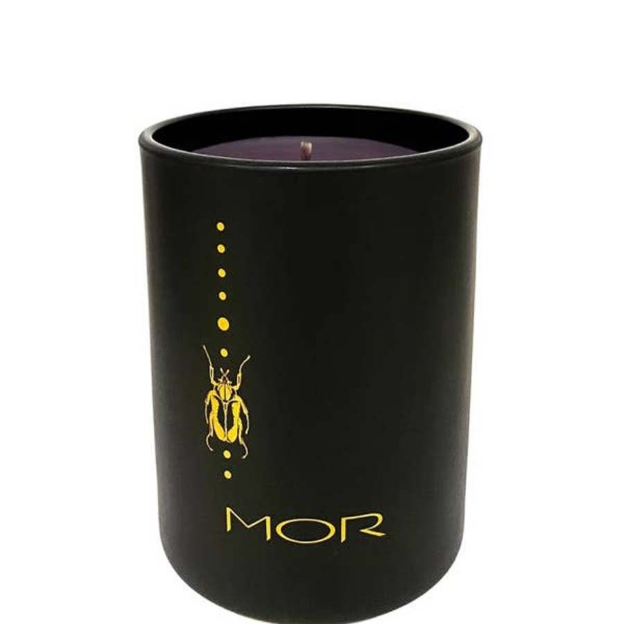 Fragrance MOR Scented Candles | Mor Mr Beaux Jangles Fragrant Candle Fraser Fir And Sparkling Champagne 250G