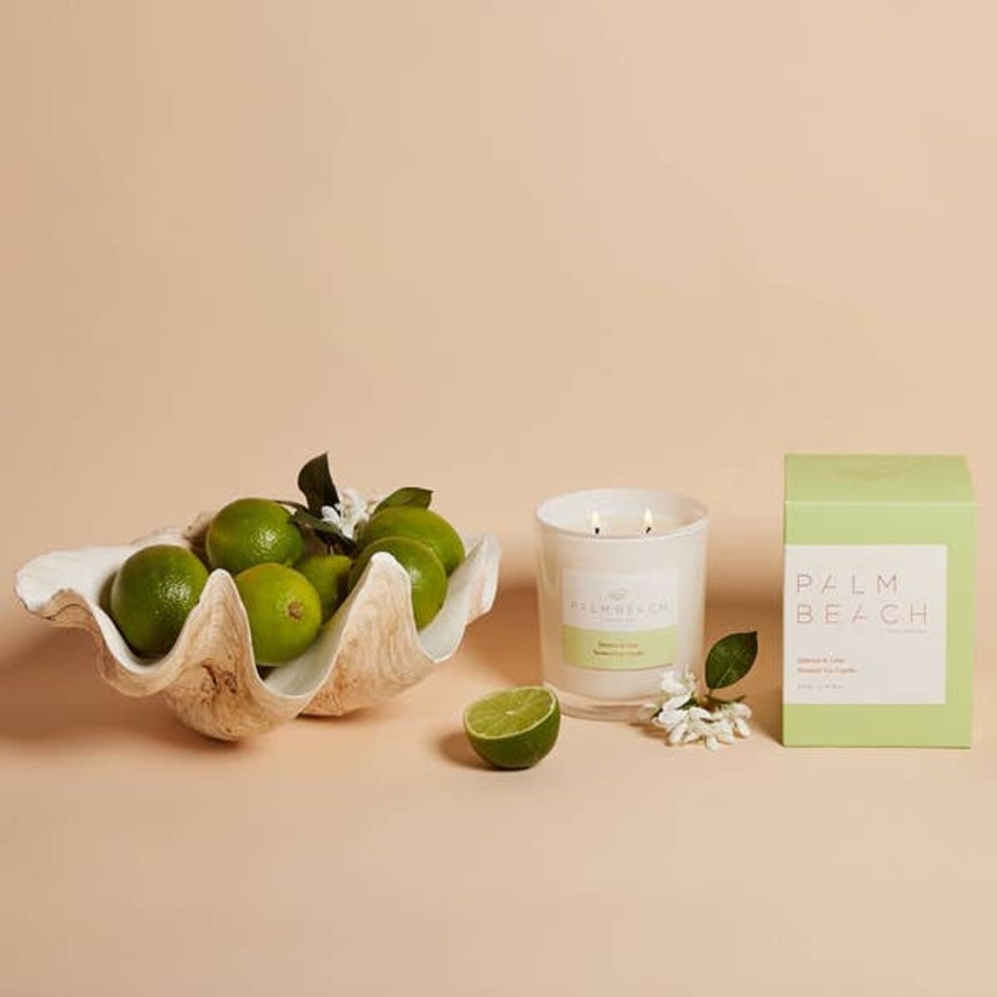 Fragrance Palm Beach Scented Candles | Palm Beach Collection Jasmine & Lime 420G Standard Candle