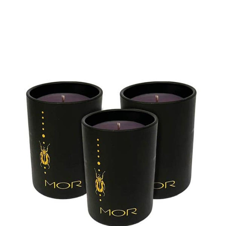 Fragrance MOR Scented Candles | Mor The Enchanted Garden Petite Candle Trio