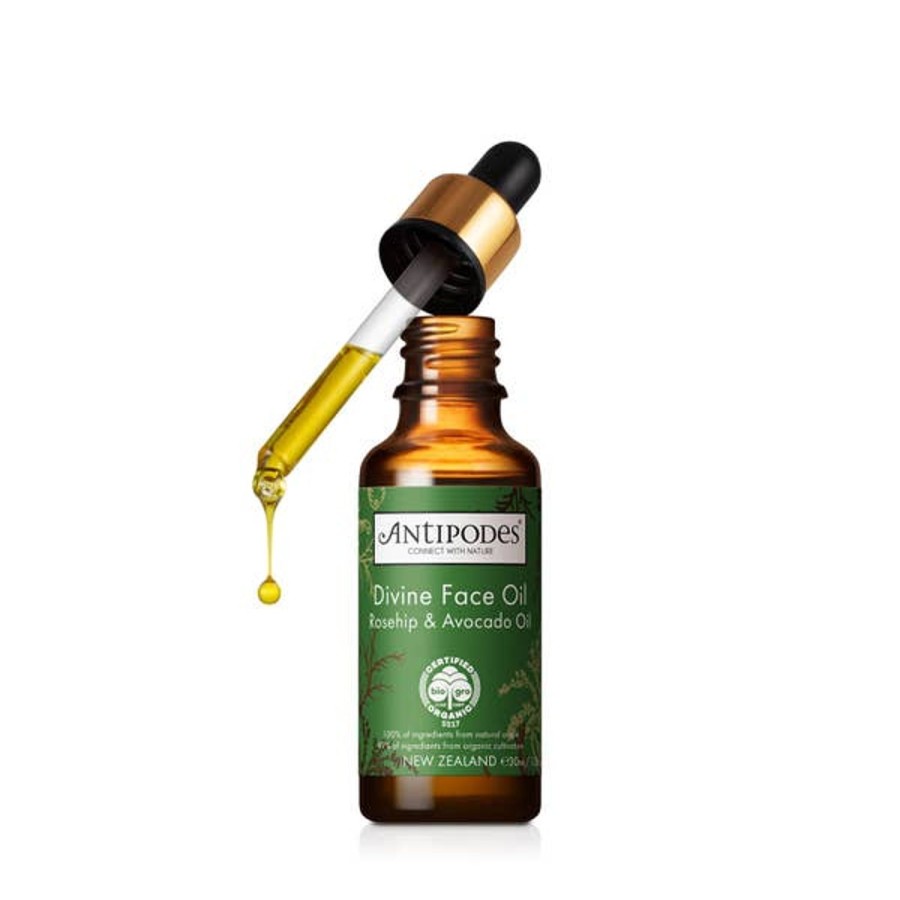 Men Antipodes Serums | Antipodes Divine Face Oil Rosehip And Avocado Oil 30Ml