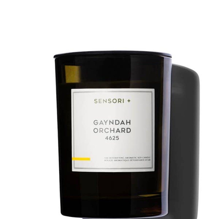 Fragrance SENSORI+ Scented Candles | Sensori+ Air Detoxifying Aromatic Gayndah Orchard Soy Candle 260G